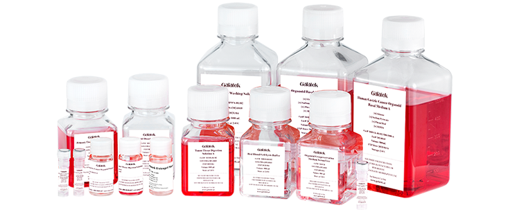 PCR Tubes