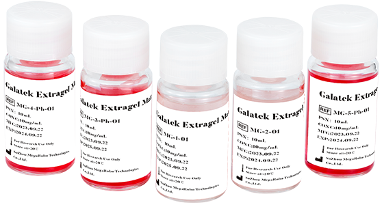 Galatek BIOTECH Organoid  Kit